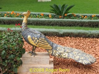 Peacock statue near the Shrine of the B�b