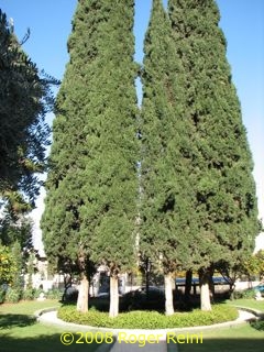 A spot where Bah�'u'll�h had pitched His tent